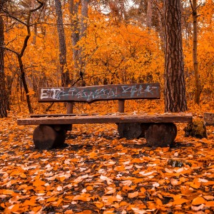 Krzysztof Jaworski-8